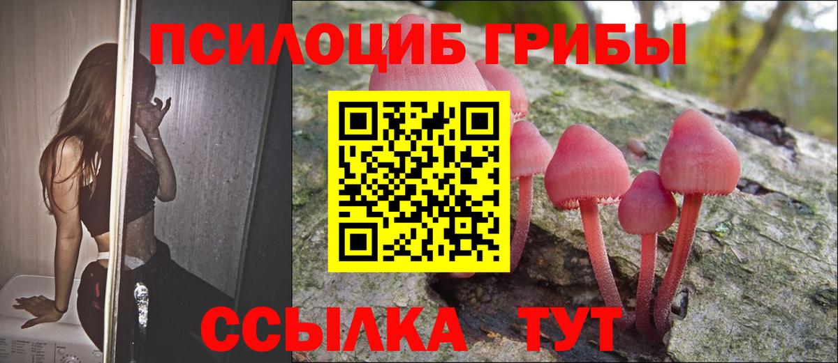 Псилоцибиновые грибы Psilocybe  Галлюциногенные грибы Magic Shrooms  Сарапул  Вход с VPN 