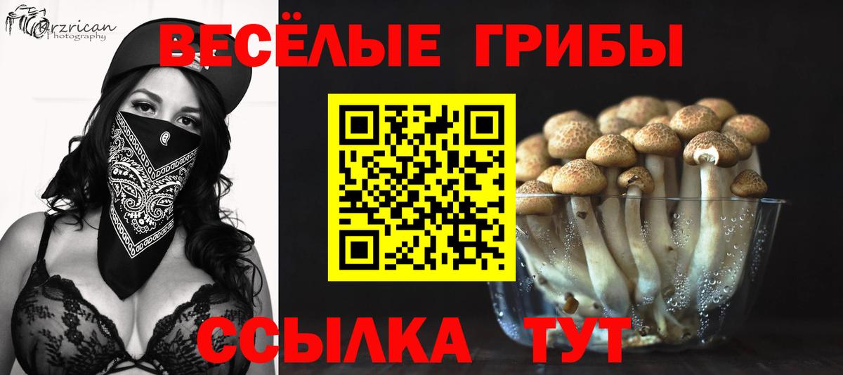 Псилоцибиновые грибы Cubensis Сарапул